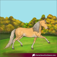 Horse Color:Palomino Frame 