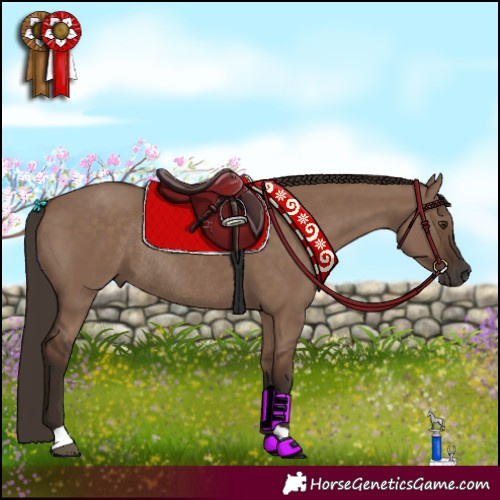 Horse Color:Liver Red Dun Rabicano 