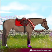 Horse Color:Liver Red Dun Rabicano 