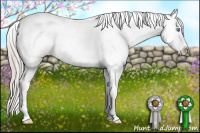 Horse Color:Chocolate Palomino Roan Pearl Splash Tobiano Frame Varnish Rabicano
