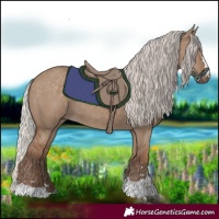 Horse Color:Silver Grullo