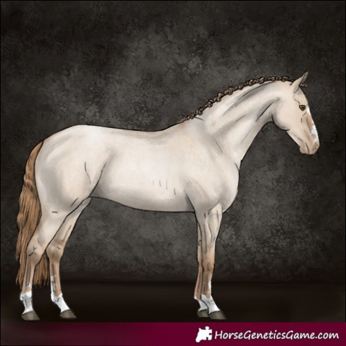 Horse Color:Grullo Roan Pearl 