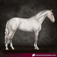 Horse Color:Silver Grullo Roan Varnish Rabicano 