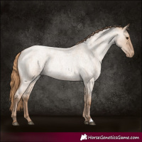 Horse Color:Grullo Roan Pearl Appaloosa Rabicano 