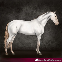 Horse Color:Grullo Roan Pearl Varnish Rabicano 