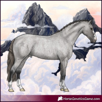 Horse Color:Grullo Roan Appaloosa Rabicano 