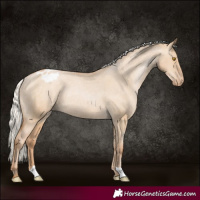 Horse Color:Silver Grullo Pearl Appaloosa Rabicano 