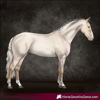 Horse Color:Silver Grullo Roan Pearl Rabicano