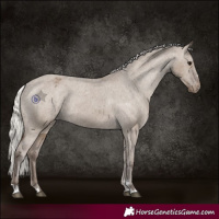 Horse Color:Silver Grullo Varnish Rabicano 