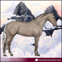 Horse Color:Silver Grullo Appaloosa Rabicano 
