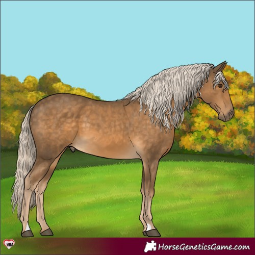 Horse Color:Chocolate Palomino 