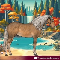 Horse Color:Chocolate Palomino 