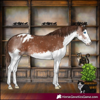 Horse Color:Liver Chestnut Splash Snowflake Varnish