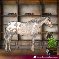 Horse Color:White Spotted Chocolate Palomino Roan Blanket Rabicano 