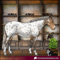 Horse Color:Silver Smoky Black Sabino Tobiano Near Leopard 