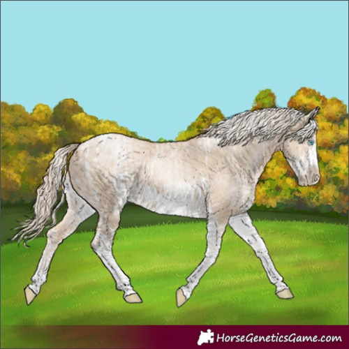 Horse Color:Chocolate Palomino Pearl Dun Tobiano Frame and White Spotted Chocolate Palomino Pearl Dun Tobiano Frame