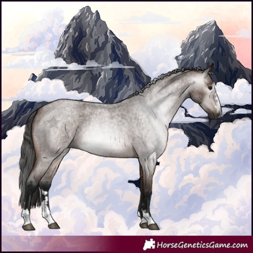 Horse Color:Gray Bay Roan 