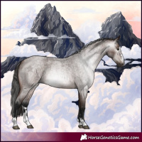 Horse Color:Gray Bay Roan 
