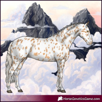 Horse Color:Palomino Leopard 