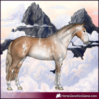 Horse Color:Gray Palomino Sabino