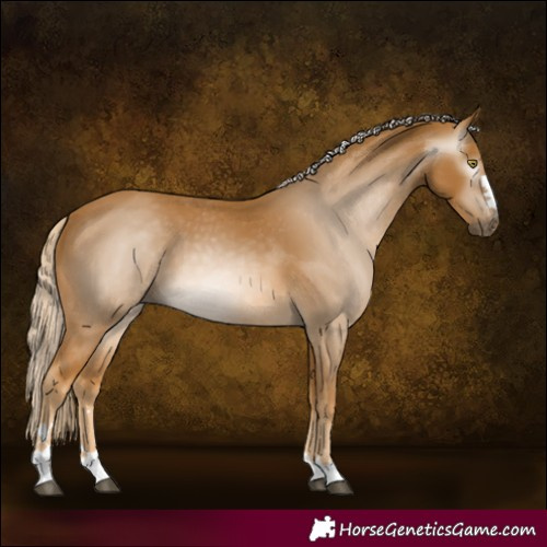 Horse Color:Gray Palomino Varnish 