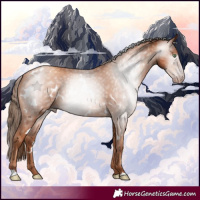 Horse Color:Gray White Spotted Gold Champagne 