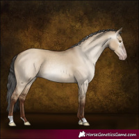 Horse Color:Gray Classic Champagne Dun Rabicano 