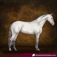 Horse Color:Brown Roan Dun Varnish 