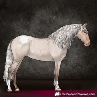 Horse Color:Silver Brown Roan Dun Appaloosa Rabicano