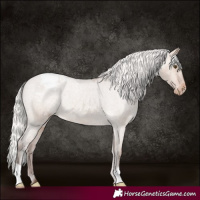 Horse Color:Silver Brown Roan Dun Snowcap Rabicano