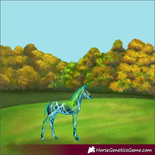Horse Color:ERROR: UNKNOWN ANOMALY