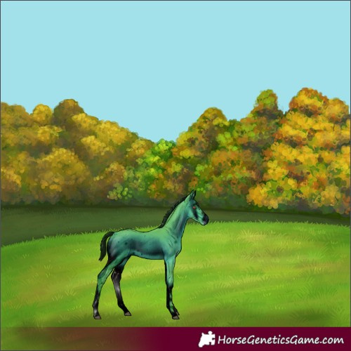 Horse Color:ERROR: UNKNOWN ANOMALY