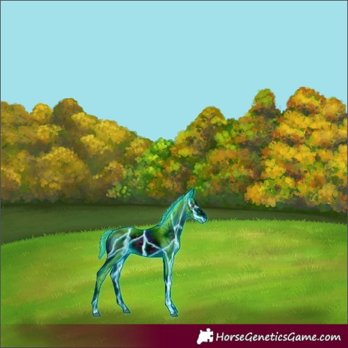 Horse Color:ERROR: UNKNOWN ANOMALY