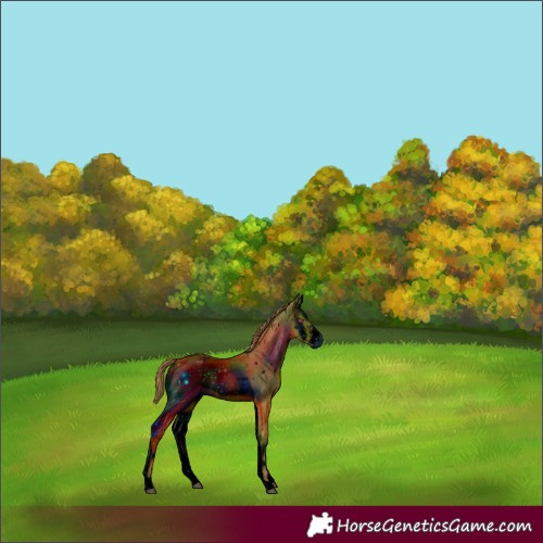 Horse Color:ERROR: UNKNOWN ANOMALY