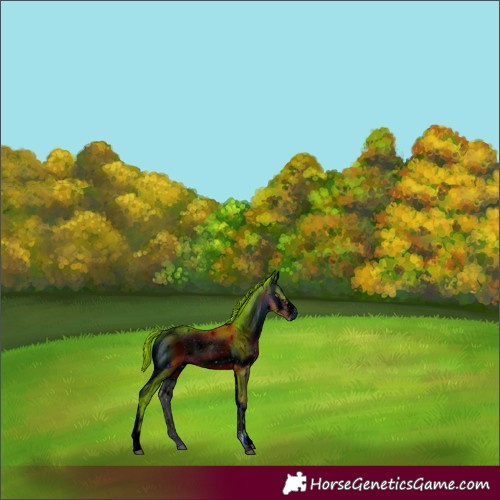 Horse Color:ERROR: UNKNOWN ANOMALY