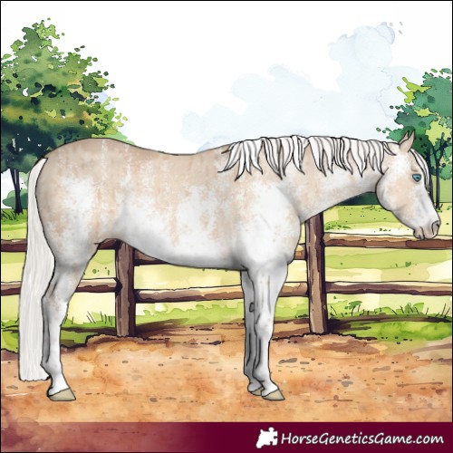 Horse Color:White Spotted Silver Smoky Creme Dun Rabicano Brindle 