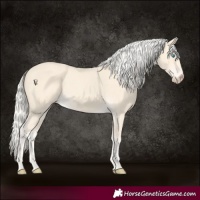 Horse Color:Cremello 