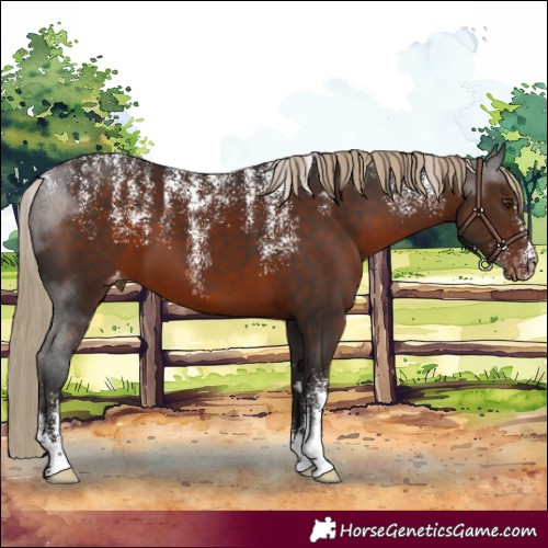 Horse Color:Powder White Liver Chestnut Varnish 