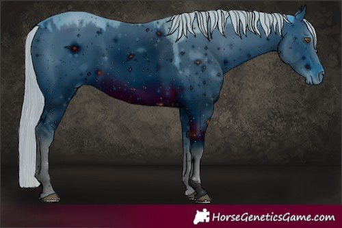 Horse Color:ERROR: UNKNOWN ANOMALY