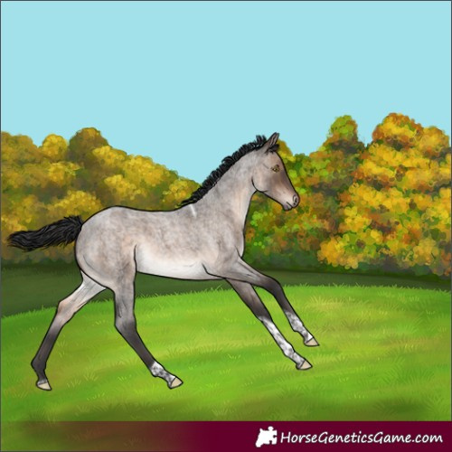 Horse Color:Brown Roan Dun Tobiano Brindle 