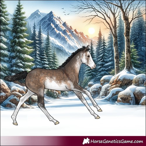Horse Color:White Spotted Brown Dun