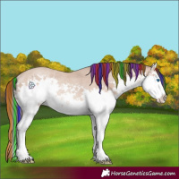 Horse Color:Painted Amber Champagne Splash Rabicano 