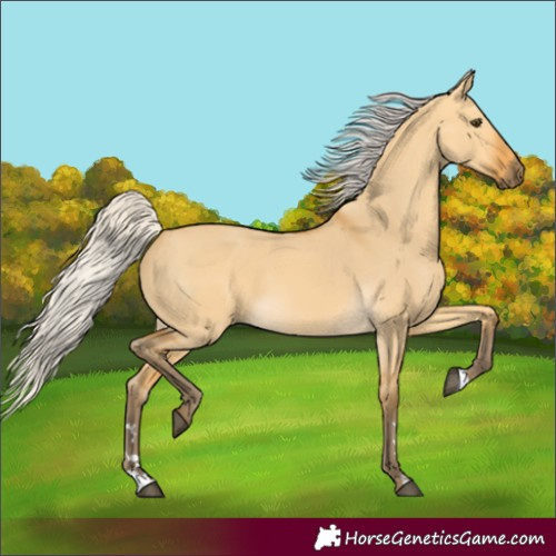 Horse Color:Silver Buckskin Dun 