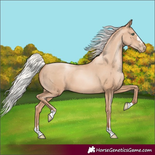 Horse Color:Silver Sable Champagne Pearl 
