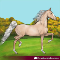 Horse Color:Silver Sable Champagne Pearl 
