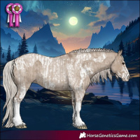 Horse Color:Silver Grullo Tobiano and Silver Grullo Roan Sabino