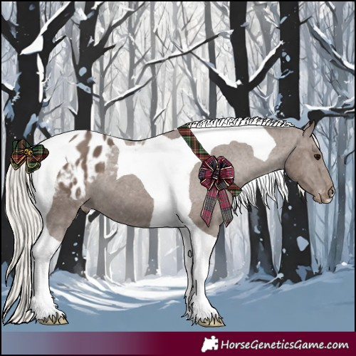 Horse Color:Silver Black Tobiano Blanket 
