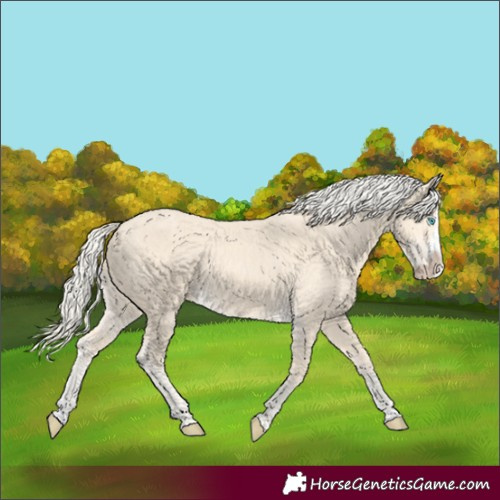 Horse Color:Cremello Splash  and Cremello Splash 