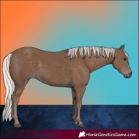Horse Color:Silver Black 