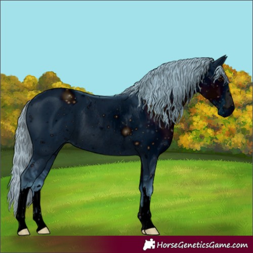 Horse Color:ERROR: UNKNOWN ANOMALY